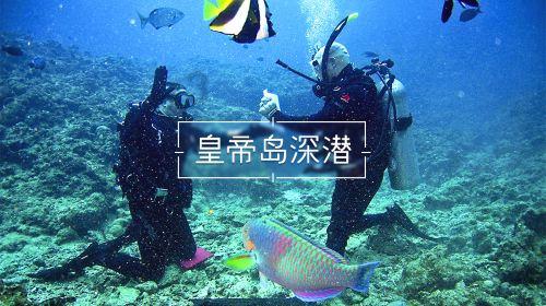 上博东馆启用、海洋神仙节来袭……本周文旅生活指南来了