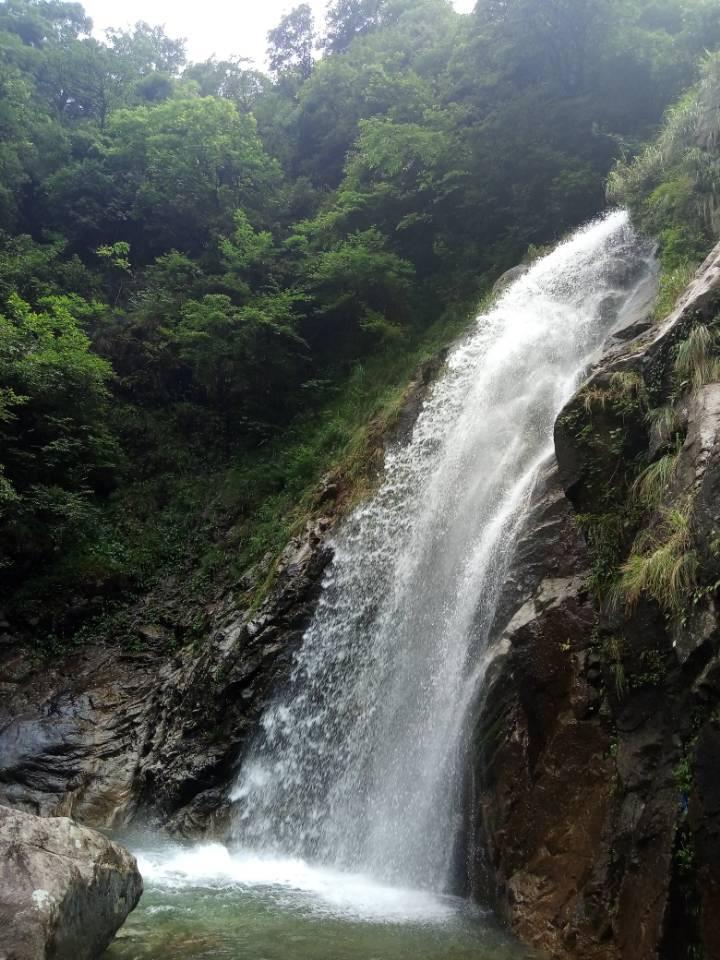 星动，只为你